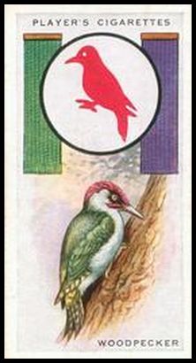 24 Woodpecker